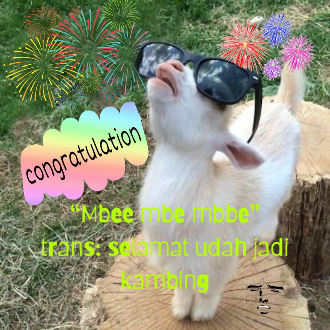 Subkambingoa's tweet photo. MBEE

Welcome to kandang kambing @minavmyoi bersama mbing dan leon. Don't forget to put 'mbēe' on your bio and obey the rules! https://t.co/0XpZ6o7Tdu