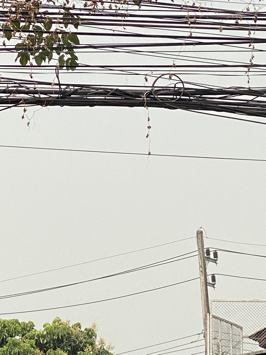 สัมมาคาระเมล tweet media