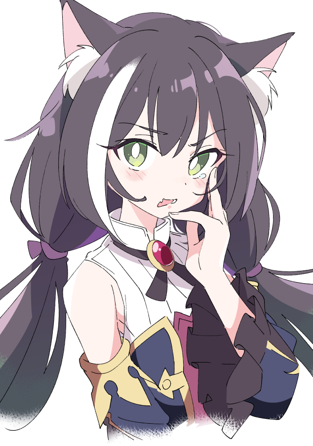 karyl (princess connect!) 1girl animal ears solo white pupils bright pupils black hair cat ears  illustration images