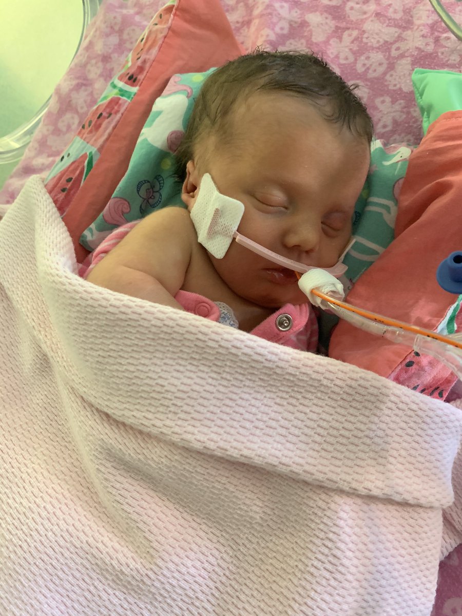 Tking_KMS's tweet photo. On Saturday 3/6 Kelli and I welcomed Heather Blake into our lives! https://t.co/8mpKLGEJUF