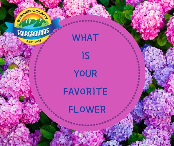 With this beautiful sunshine we have peeking in &amp; out this week, it reminds me that it is almost time for me to start cleaning out my garden. I can't wait to see my flowers bloom. What is your favorite flower to see at Fair? 
🙂Darcey
