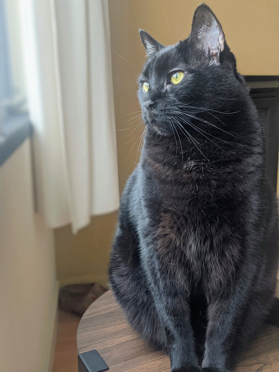 Sam_Benedict's tweet photo. I guess he is a professional model now 🤷🏼‍♀️ https://t.co/cGPAxRKLsp