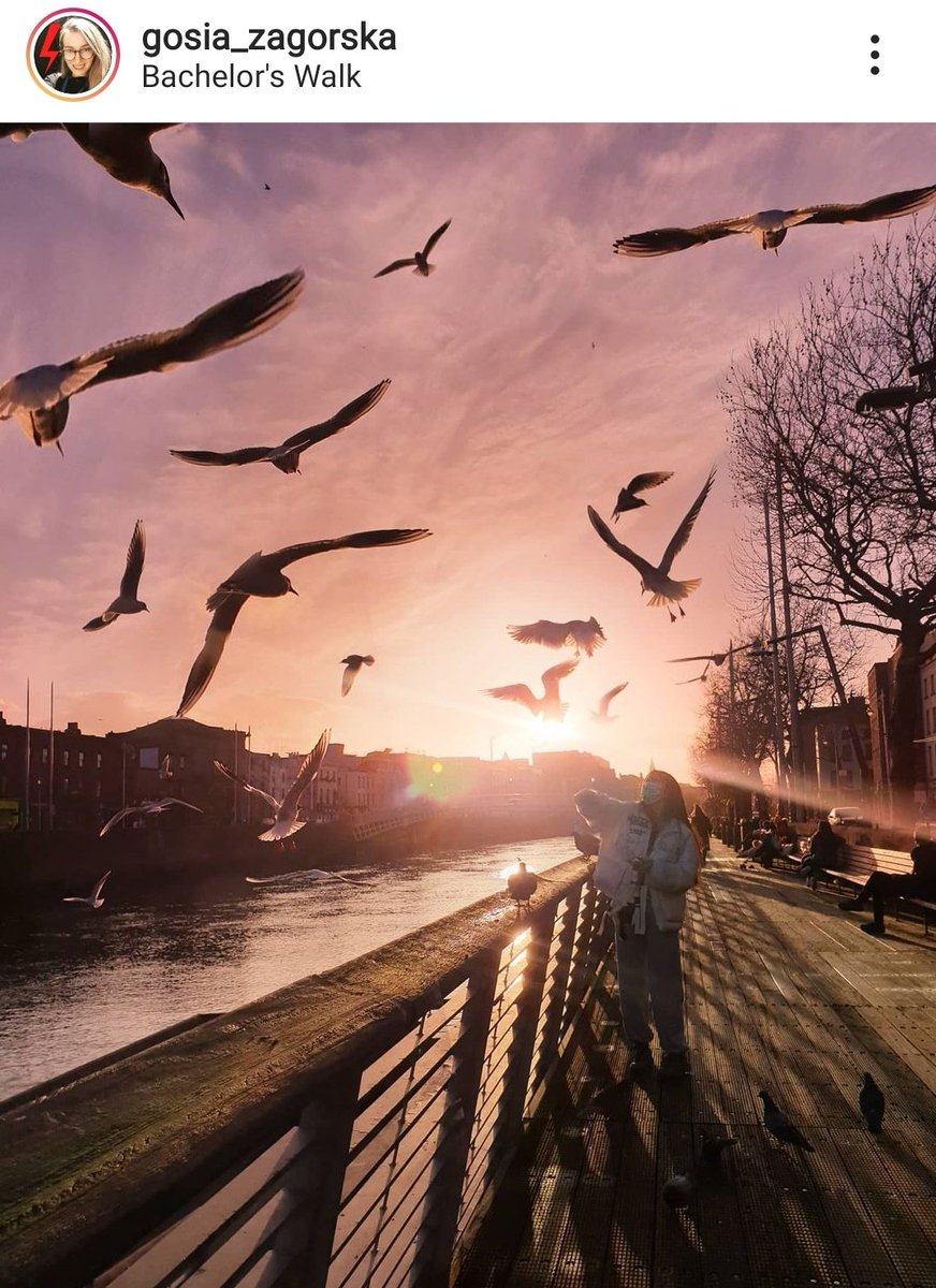 igersdublin's tweet photo. Oh Dublin!
#Photo by #iger gosia_zagorska on #Instagram
#igersdublin #dublin https://t.co/bOjh8pwDtc