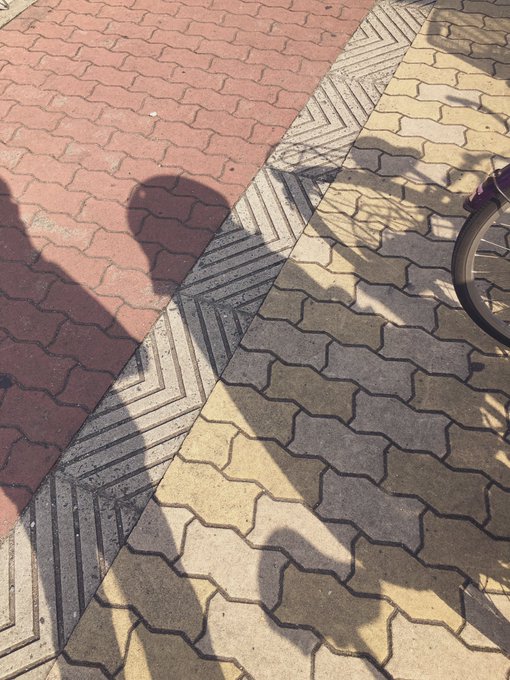 ちんこに見えた 