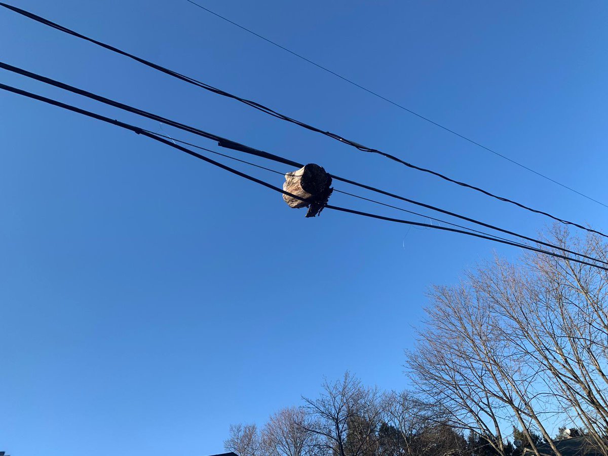 jared_iz's tweet photo. I mean, I’m impressed.... but how wood someone get that up there?? https://t.co/aMhE6B5h2V
