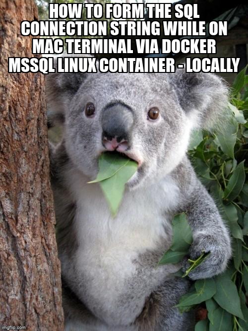 overflow_meme's tweet photo. How to Form the SQL Connection String while on Mac Terminal via Docker MSSQL Linux Container - Locally https://t.co/KJ8Aig9ooR #sql #docker #dotnet #sqlserver #connectionstring https://t.co/u5vQibSeXm