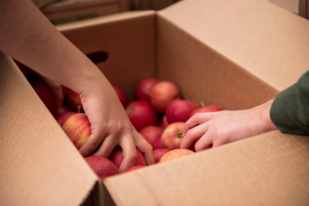 Tomorrow @ 2PM SiCM is co-hosting the drive-thru &amp; walk up Free Food Distribution at Our Lady of Mount Carmel Church in Mont Pleasant, Schenectady. Masks are required. Volunteers needed: call Tom 518-346-4445 x 2 if you can help. #schenectady #freefood #volunteer #feedourfamilies