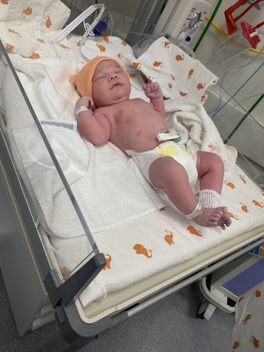 Hegg99's tweet photo. March 6th at 2:37 pm, after 30 hours of labor, a little over 3 hours of pushing and an emergency C-section, our little Darwin was born! Never know what “a labor of love” meant until this past Saturday 🥰 I love him so much already https://t.co/oMW0fA76Gd