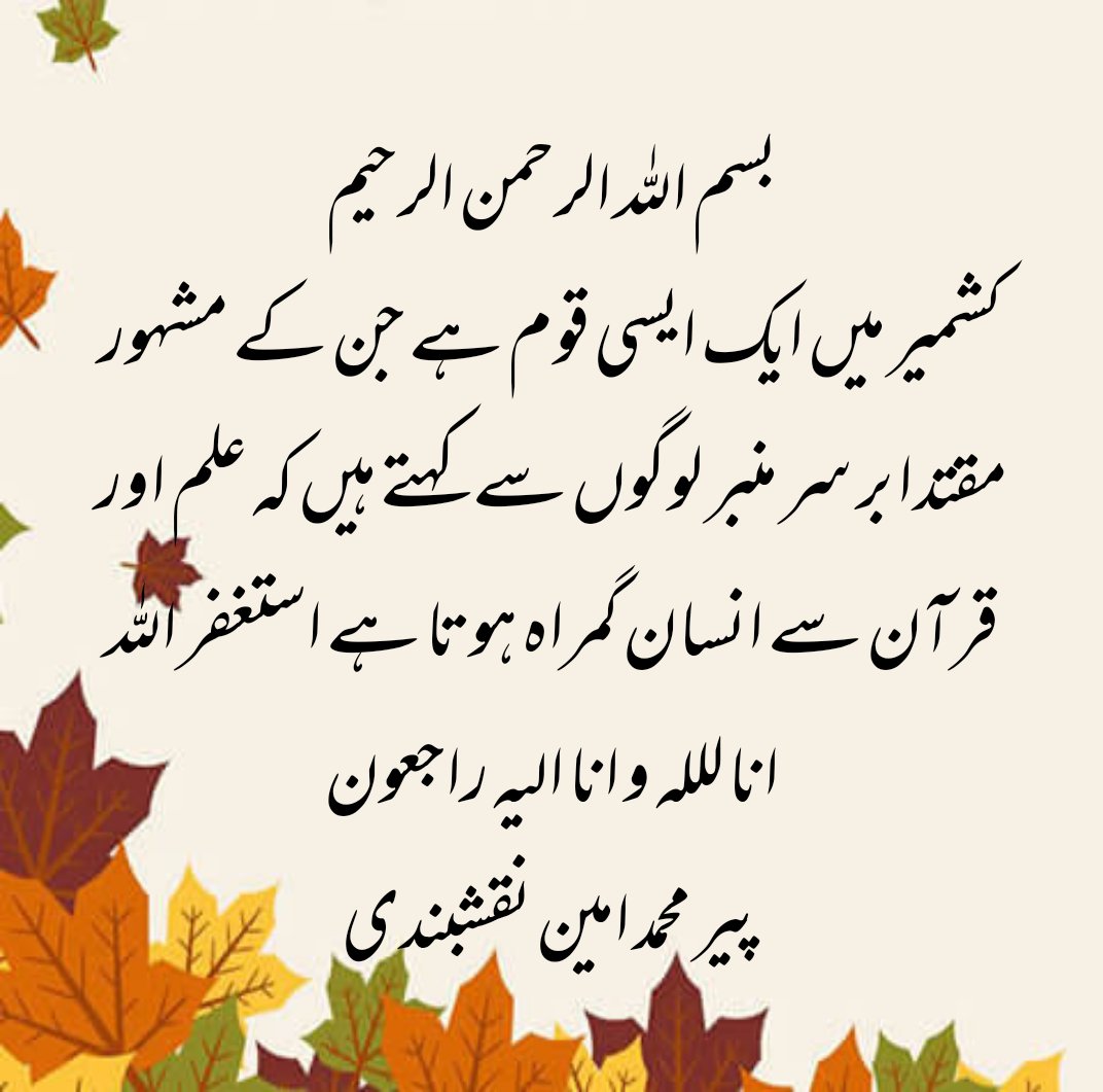 Falak Binti Ferooz tweet media