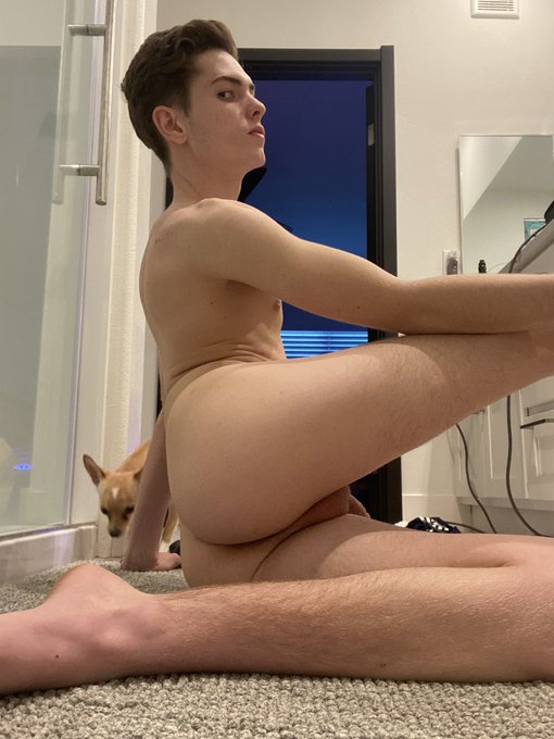 My dogs non stop photo bombing me https://t.co/EDVxV0pTWK