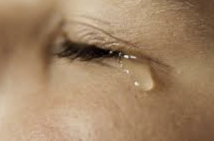 ecalixto's tweet photo. La tristeza tiene la capacidad de conectar más estructuras cerebrales en nuestro cerebro, por ende, incrementa su metabolismo. La tristeza es la emoción que más nos cansa y genera más hambre. 

#NocheNeurotuits https://t.co/mPhESpBAbA