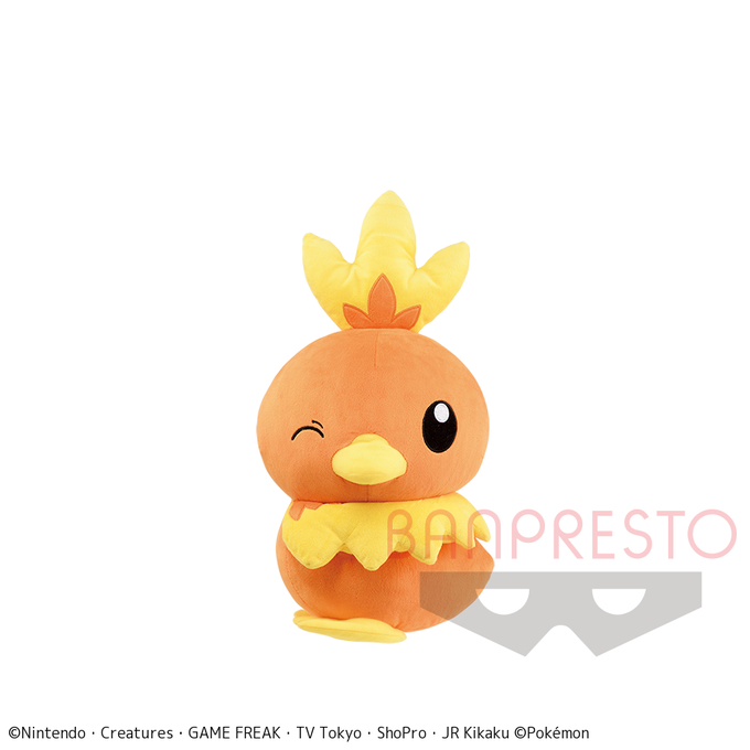 アチャモのtwitterイラスト検索結果 アチャモのtwitterイラスト検索結果