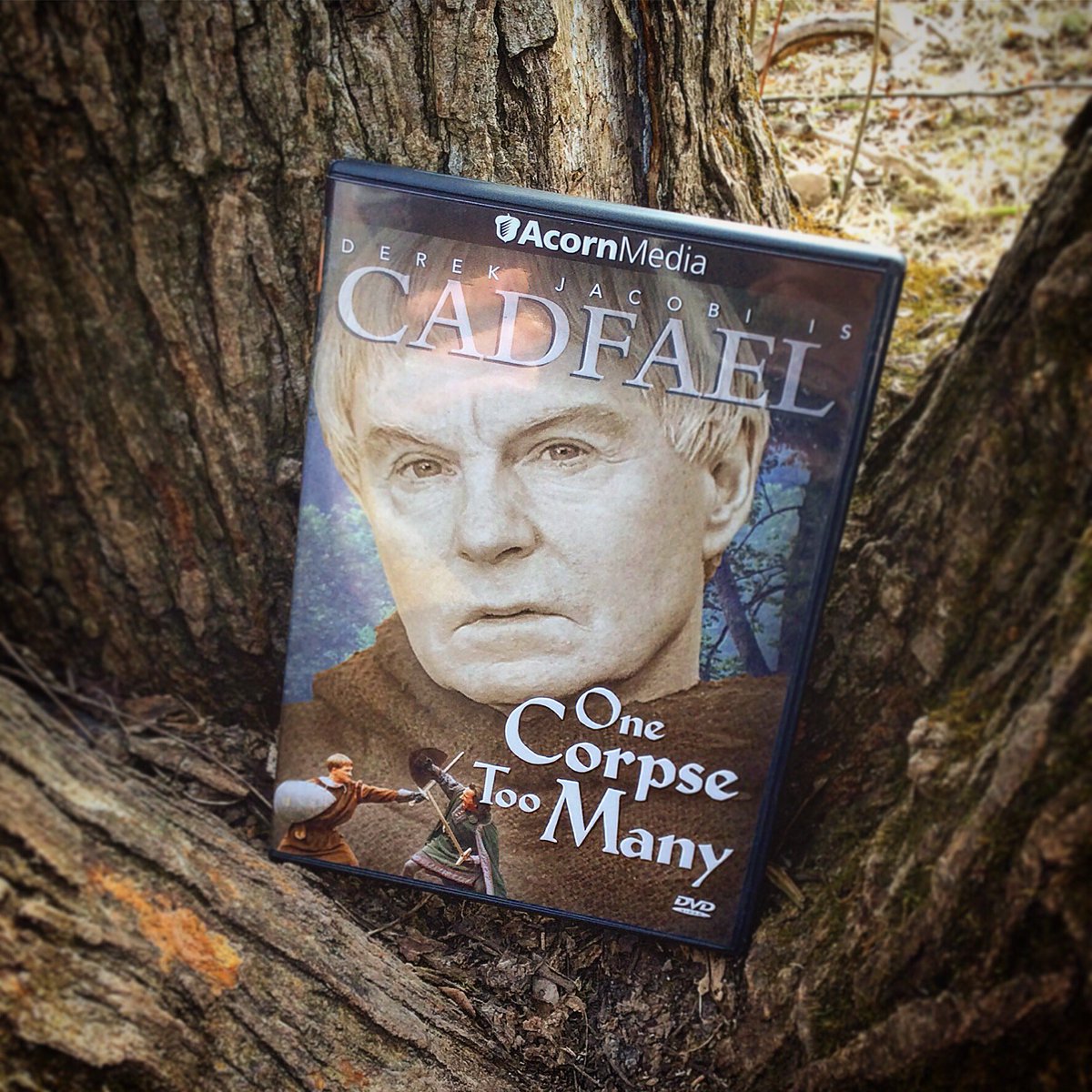 thecastperilous's tweet photo. Based on the novels of Ellis Peters and staring Derek Jacobi as Brother Cadfael, the made-for-tv “Cadfael” mysteries are the inspiration for our own St.Dunstan’s “Woodhall” Priory. #thecastperilous #cadfael #derekjacobi https://t.co/bWD716McRw