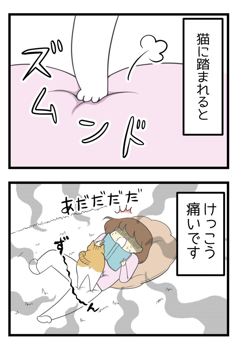 人は猫に踏まれると痛いけど猫同士はどうなのって話

#漫画が読めるハッシュタグ #保護猫さんと暮らす 