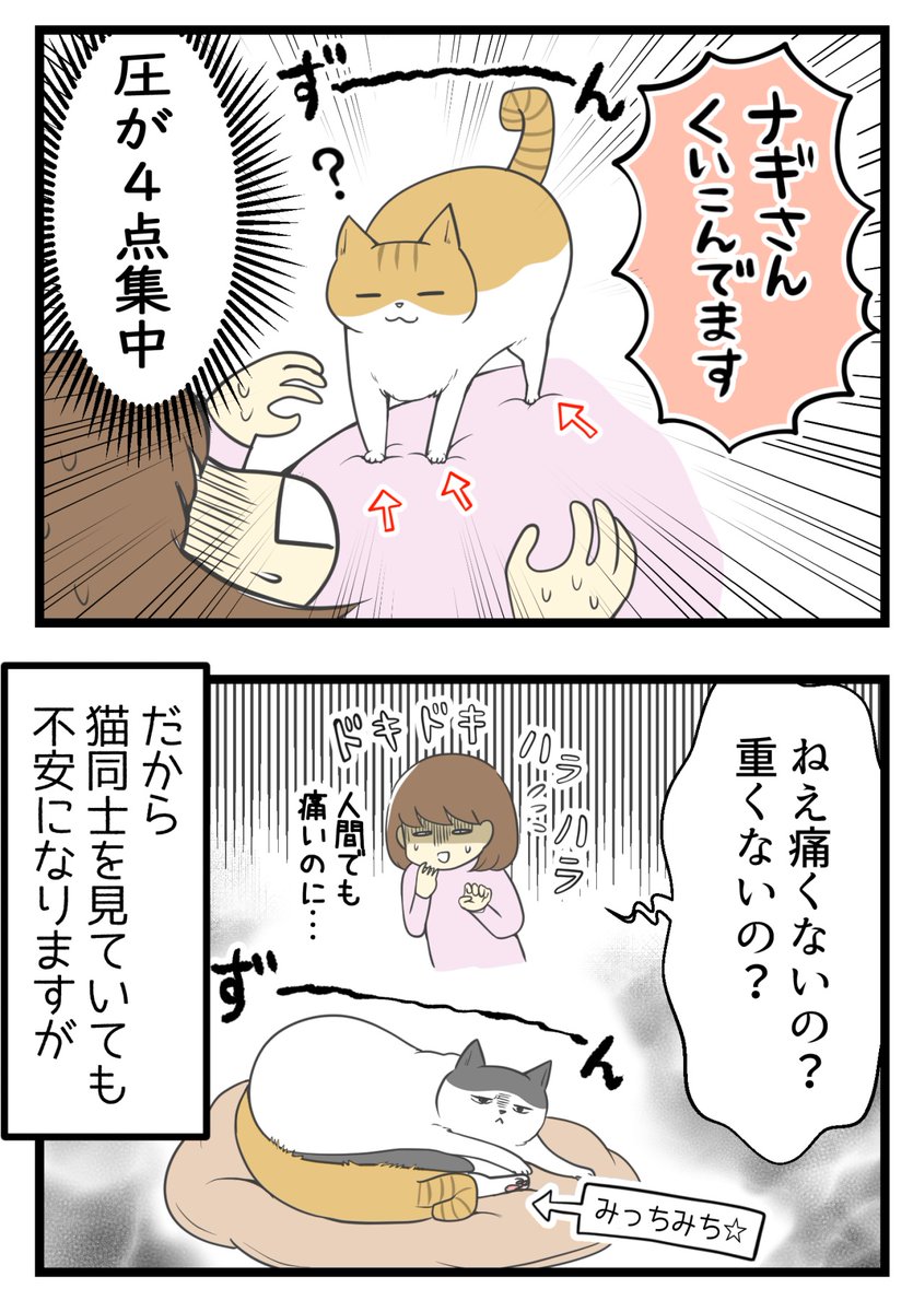 人は猫に踏まれると痛いけど猫同士はどうなのって話

#漫画が読めるハッシュタグ #保護猫さんと暮らす 