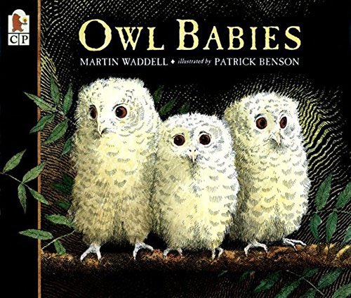 dulaney_melanie's tweet photo. #MGBookMarch21 Day 9: PB+ MG pairing. So many great combos come to mind, but let’s go with something that pairs with a recent ARC read of an upcoming release @DaynaLorentz https://t.co/FLPXcEwlv1