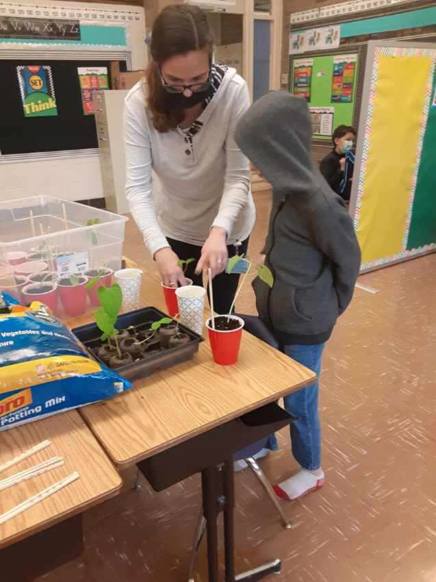 jenstalz's tweet photo. The garden in Northfield’s special ed is getting so big we had to do some upgrades!! The sunshine is a sure sign that spring  is not far away☀️🌱🥒🍅@NFSquirePride @DrJoeClark @NordoniaSchools https://t.co/kzdSXTKtAo