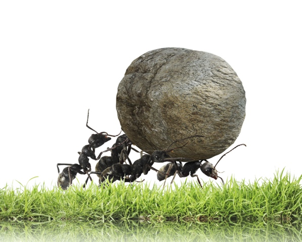 Where is the first term going? Read on to discover my top 3 tips for negating time-consuming collaboration.buff.ly/3egv38C