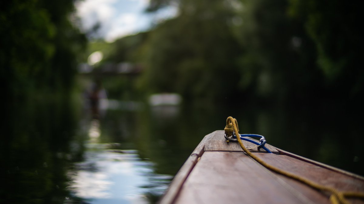 ZhongYiOptics tweet media