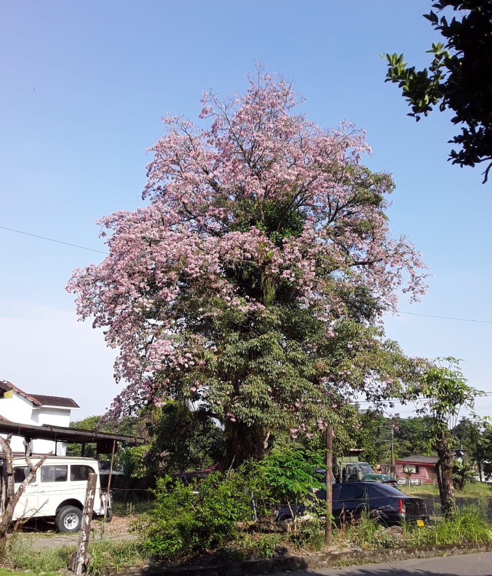 IQLUIS tweet picture