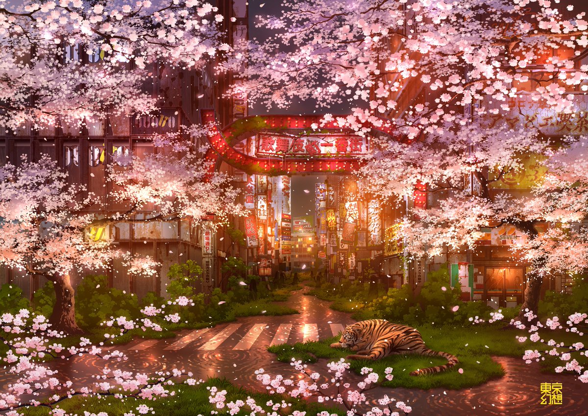 cherry blossoms no humans scenery tree outdoors grass cat  illustration images