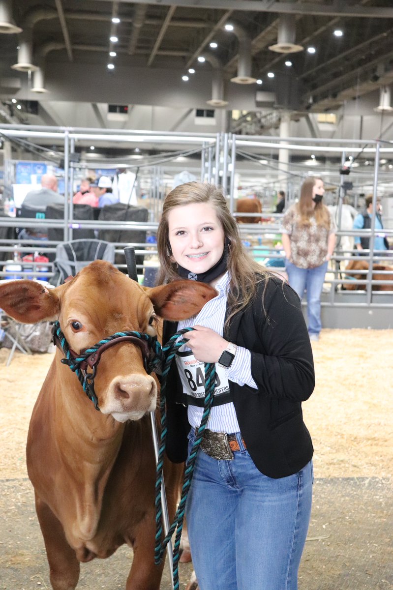 FfaFairfield's tweet photo. Our Beefmaster &amp; Brangus exhibitors did a great job at showing today. We are so proud of these students! 

Goodluck to our friends that are showing tomorrow. https://t.co/F9PPhVaqDP