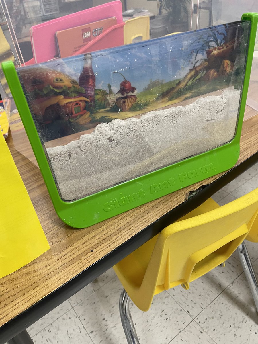SmithTeaches2's tweet photo. Excuse me while I share more!!!! Special delivery for first grade! Ants 🐜🐜🐜!!!#STEMpbl First grade standard, animal needs in our community.....Can the students take care of and identify the needs of ants 🐜 with their class ant farm?👀😀👌🏾 We shall see? #HappySTEMlady 😊 https://t.co/vupBDX7TYp
