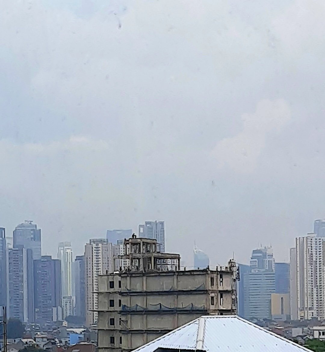 _oeli's tweet image. 