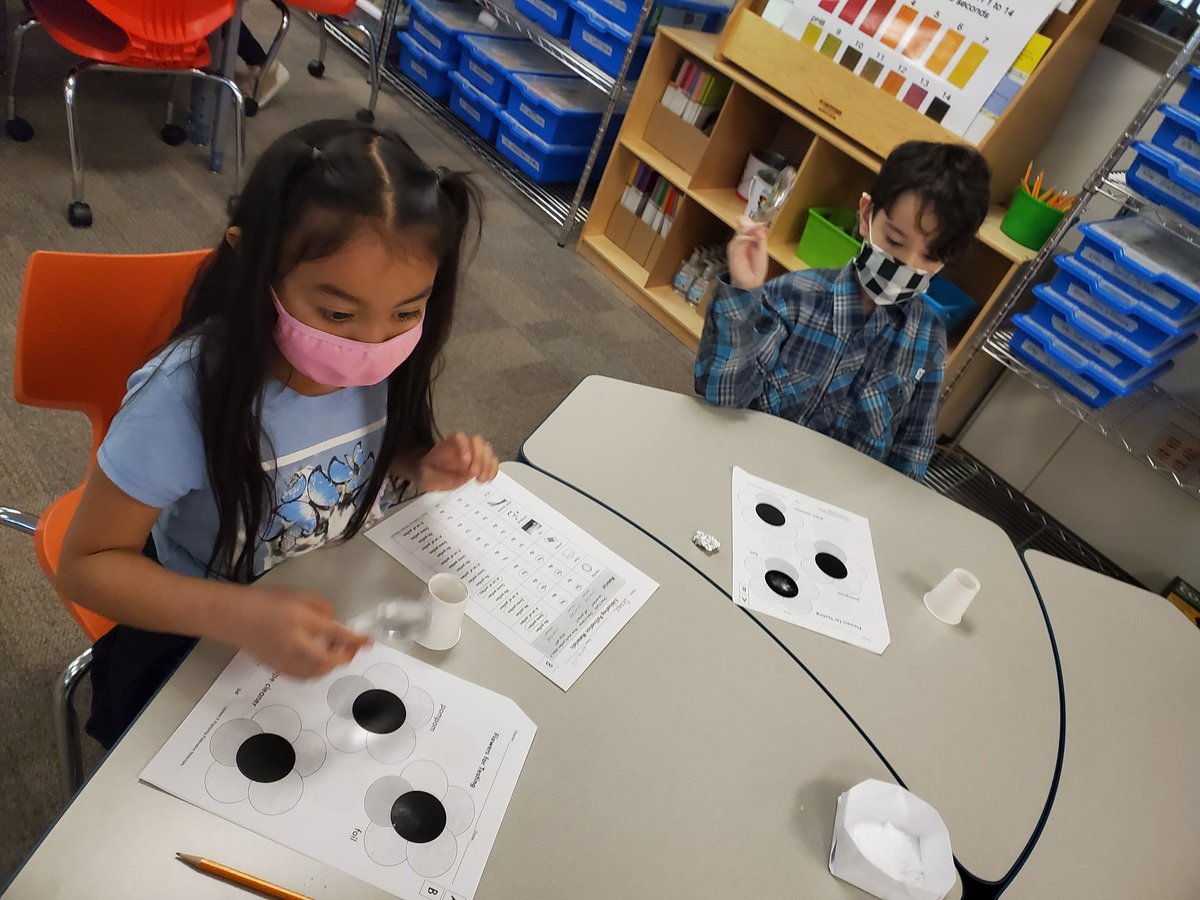tranq084's tweet photo. Our 1st graders @BlantonBulldogs did an amazing job testing and collecting data for their hand pollinator designs. We had so much fun! Can't wait to see their final designs #BlantonSTEM @triciabadillo #StrongerTogether https://t.co/GAeTshUD8f