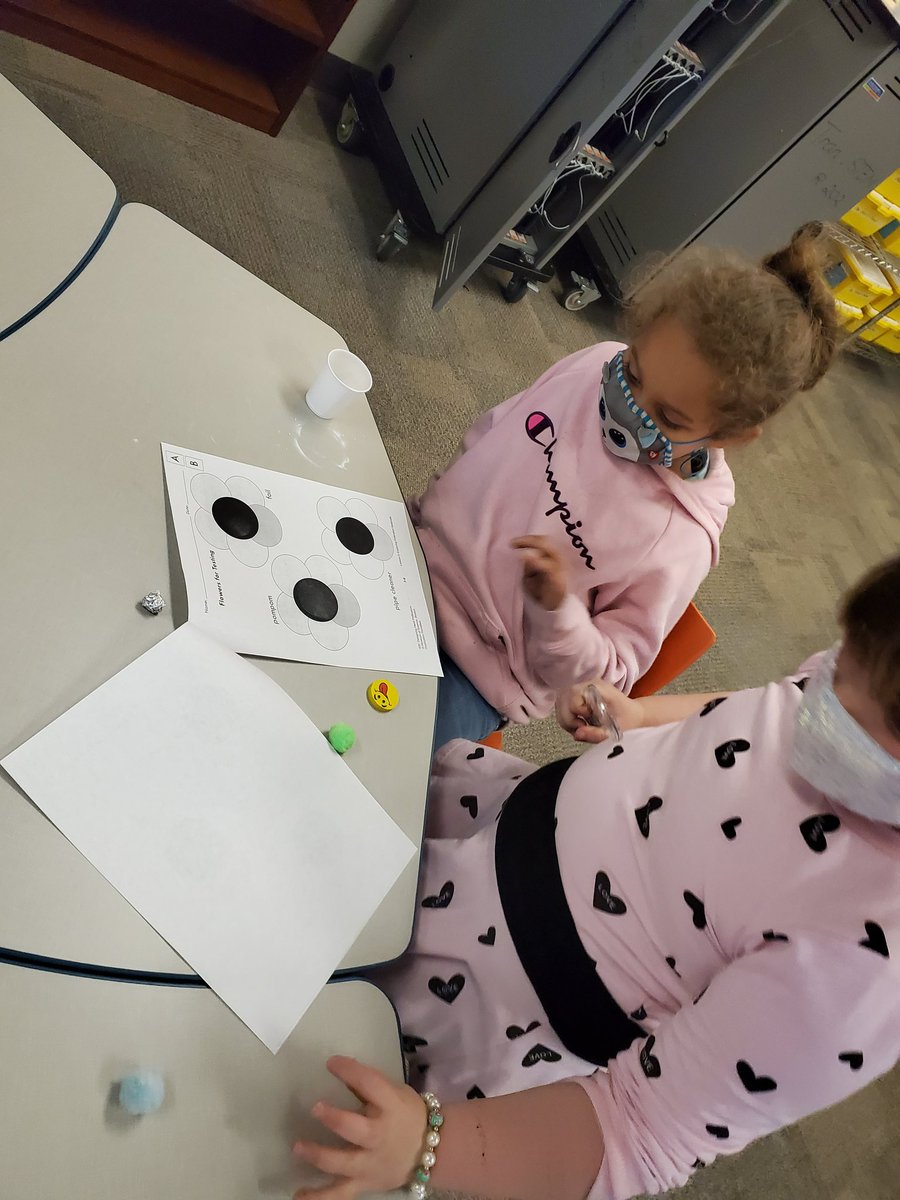 tranq084's tweet photo. Our 1st graders @BlantonBulldogs did an amazing job testing and collecting data for their hand pollinator designs. We had so much fun! Can't wait to see their final designs #BlantonSTEM @triciabadillo #StrongerTogether https://t.co/GAeTshUD8f
