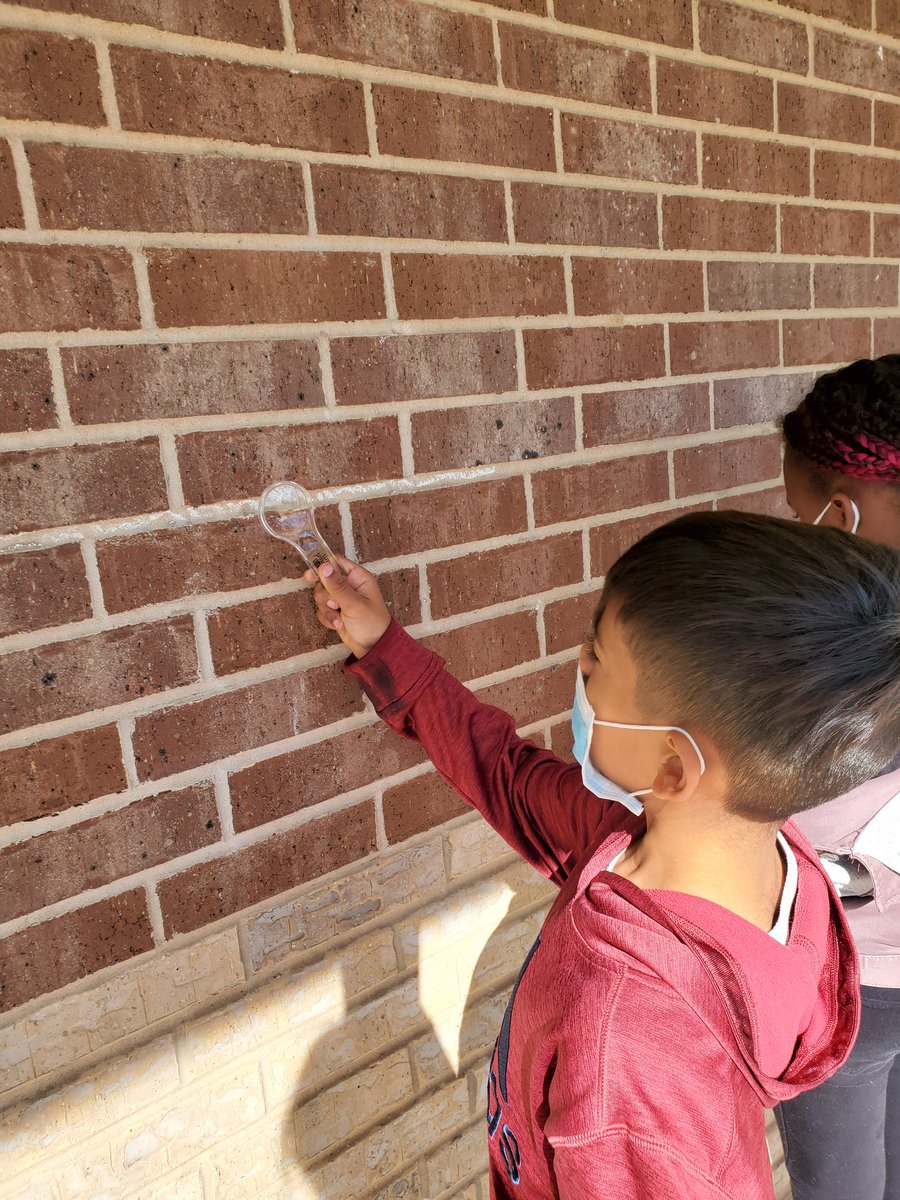 tranq084's tweet photo. We are designing a wall in the coming week @BlantonBulldogs. So let's take a walk to observe different types of walls ☺ #TogetherWeCan #BlantonSTEM @triciabadillo https://t.co/PmNp47htdi