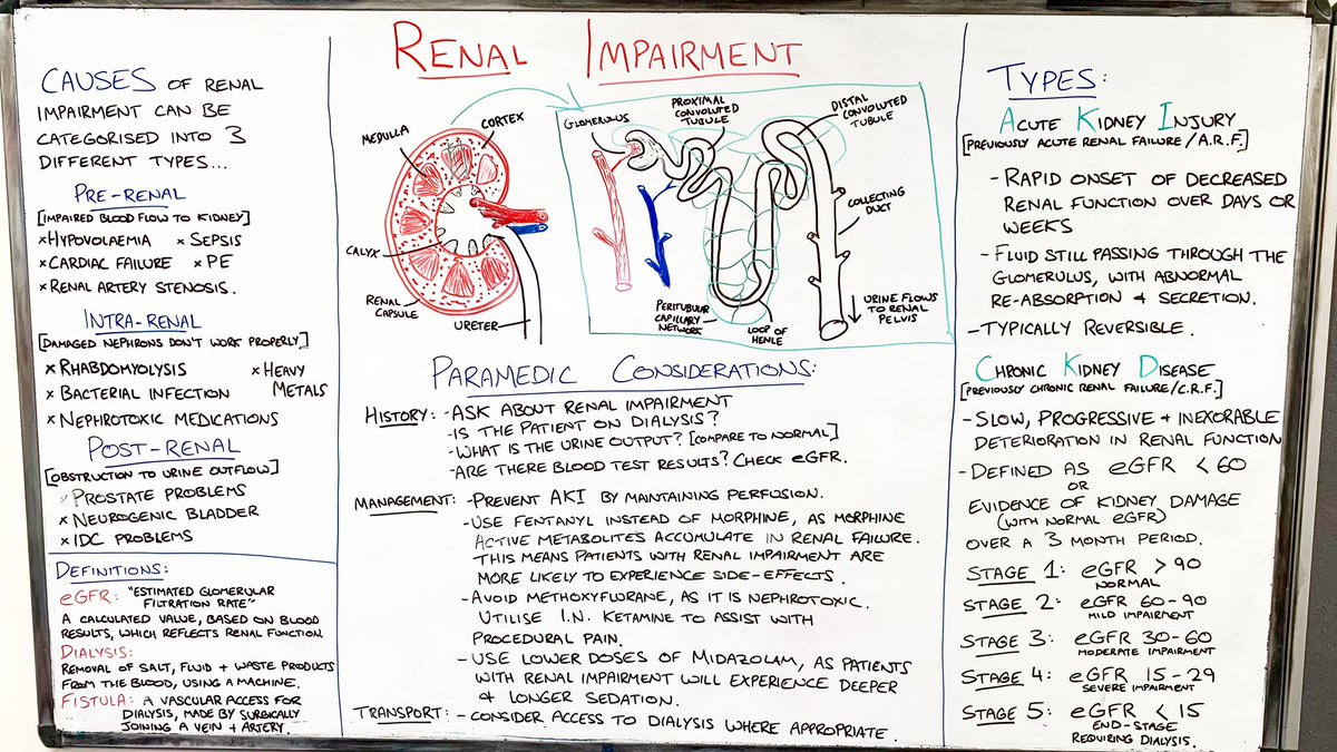 Kidneys are important.
This week’s #WhiteboardWednesday - renal impairment, its causes, types and classifications. Along with a painstakingly drawn nephron.
#FOAMed #Paramedic #Pharmacology