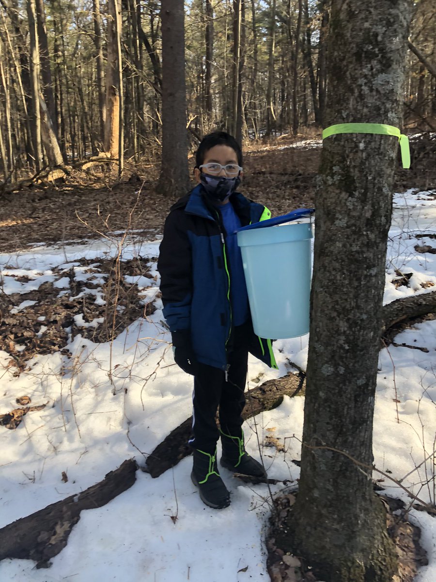 MrsRohweder's tweet photo. Maple syrup season @PrairieRidge345 #ReedsburgPride https://t.co/H2FhEaOMDT