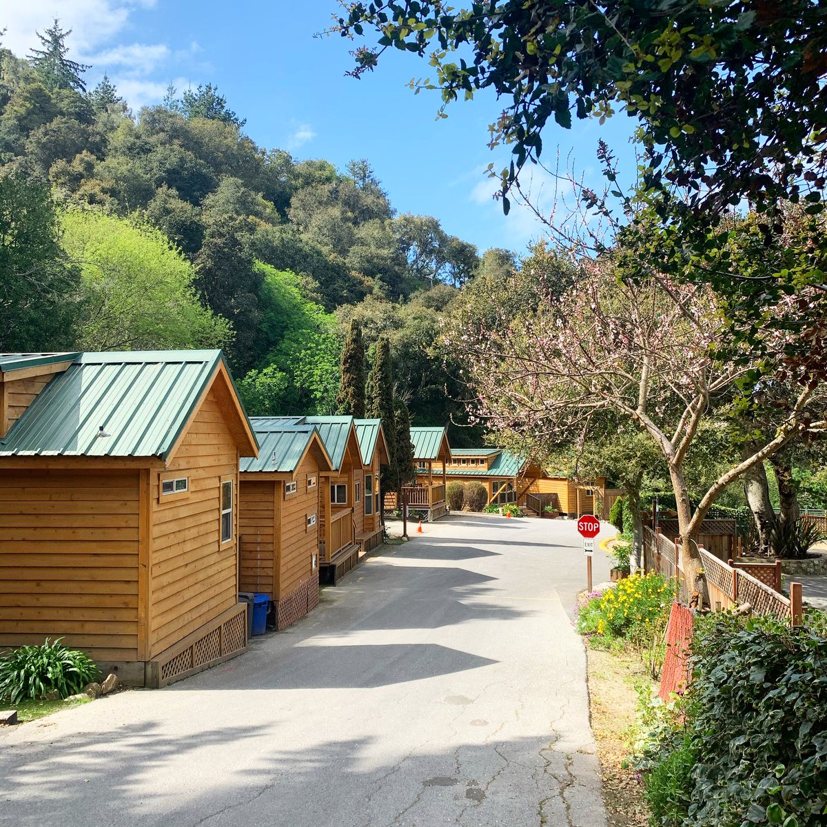 SMRCamping's tweet photo. Our Cozy Cabins have a variety of layouts and amenities to accommodate the different needs of our guests. Give us a call to speak with our team to find the perfect cabin for you 🏕 https://t.co/MjkZUZ713D