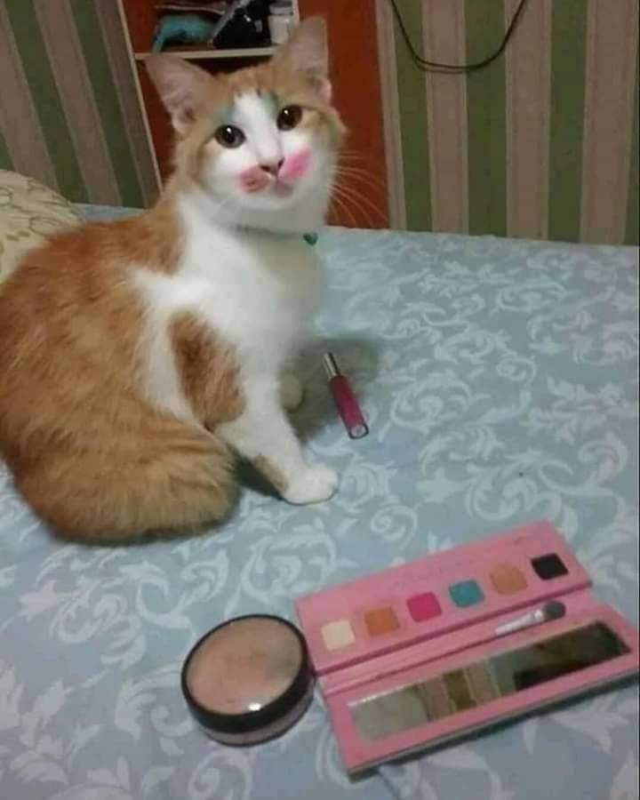 iNerd__'s tweet photo. Patut la senyap je. Rupanya kau main make up eh oyen! https://t.co/mjVXL2Vz9G