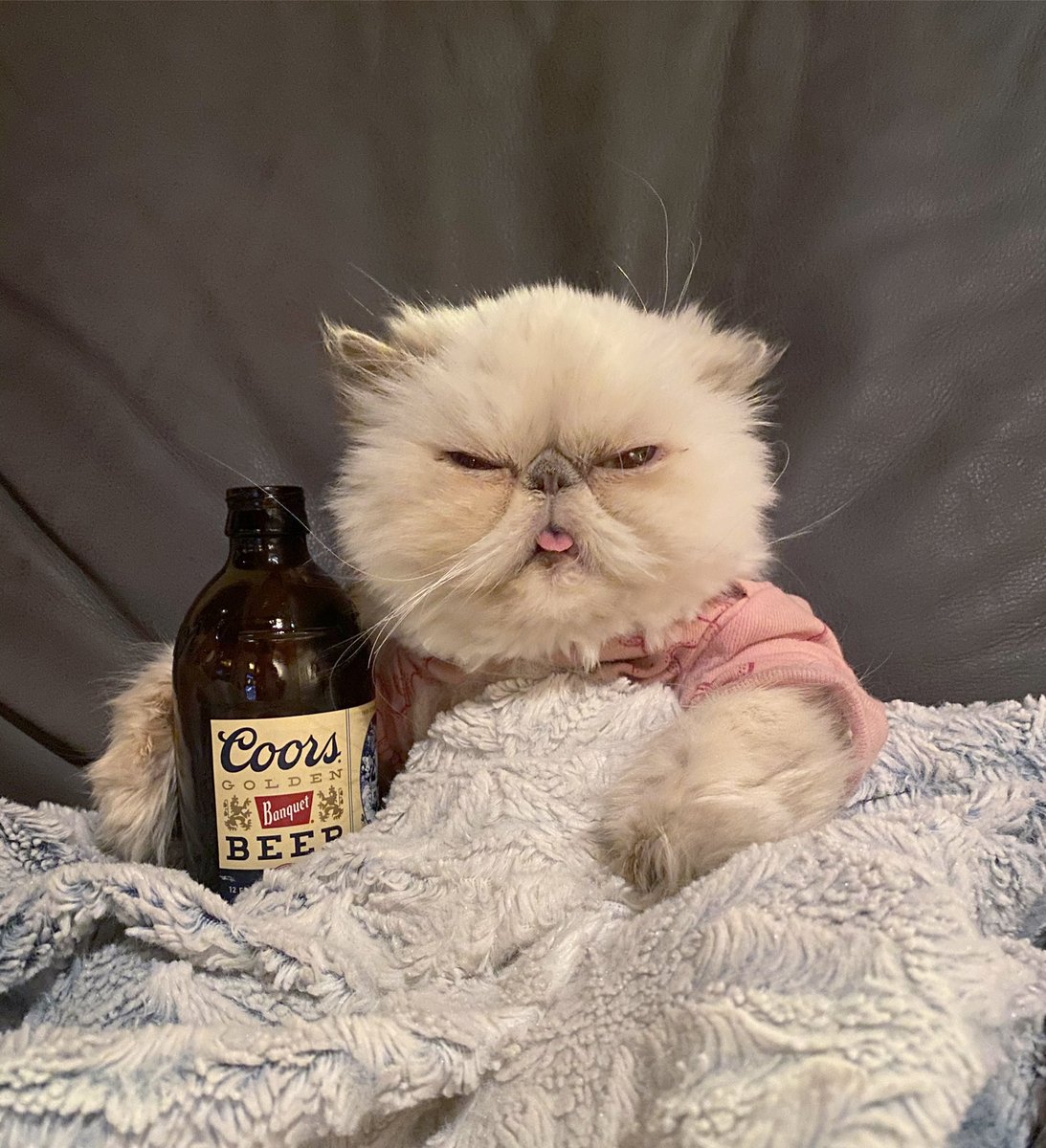 RelatableShelby's tweet photo. Watching Oprah clarify every single question for maximum tea spillage ☕️😹 #meghanandharry #meganharryoprah https://t.co/ce9XODZMz2