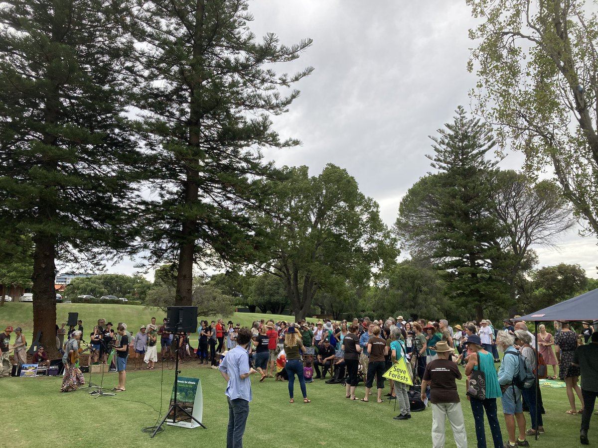 waforests's tweet photo. Crowd gathering for the Grand Postcard delivery to the @MarkMcGowanMP Government,
Dumas House, Perth. 25,000+ postcards to the Premier to #stopthechop and protect Forests for Climate. #istandwithforests https://t.co/k9pH7mne4g
