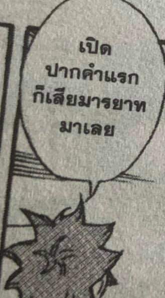 พี่หมีสวัสดีครับ 🐻 tweet media
