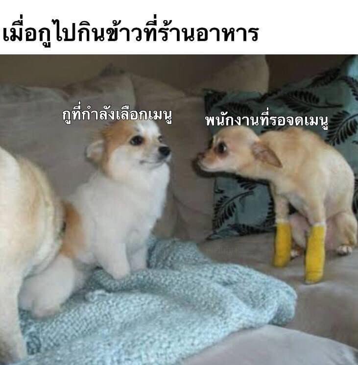 แพรจ๋าヾ tweet media