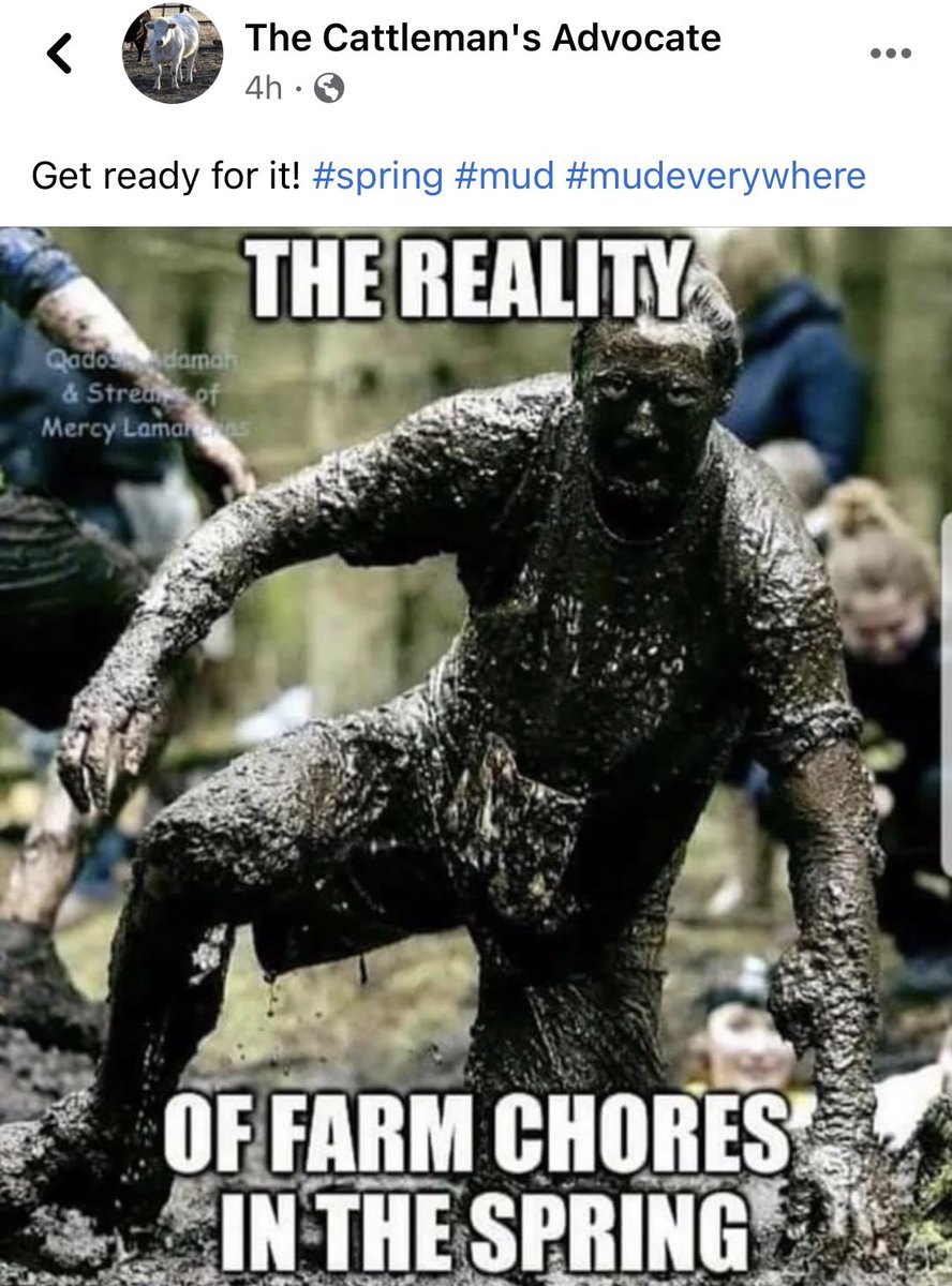 Jenny Sauer-Schmidgall (@thewittyfarmer) on Twitter photo 