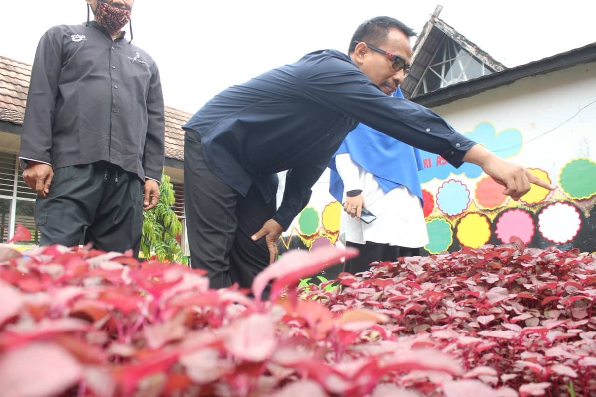 Tanam apa yg kita makan...