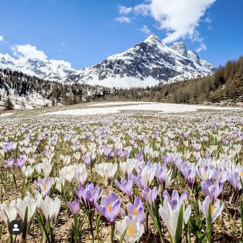MassimoSertori_'s tweet photo. #Buongiorno e buon mercoledรฌ Amici, con questa foto spettacolare come lo รจ la #Valtellina.
#montagnalombarda #montagna
#lombardia #marzo #lamontagnaรจvita
๐#ValViola
๐ธ di scatto_valtellina https://t.co/Z5hLykSijF