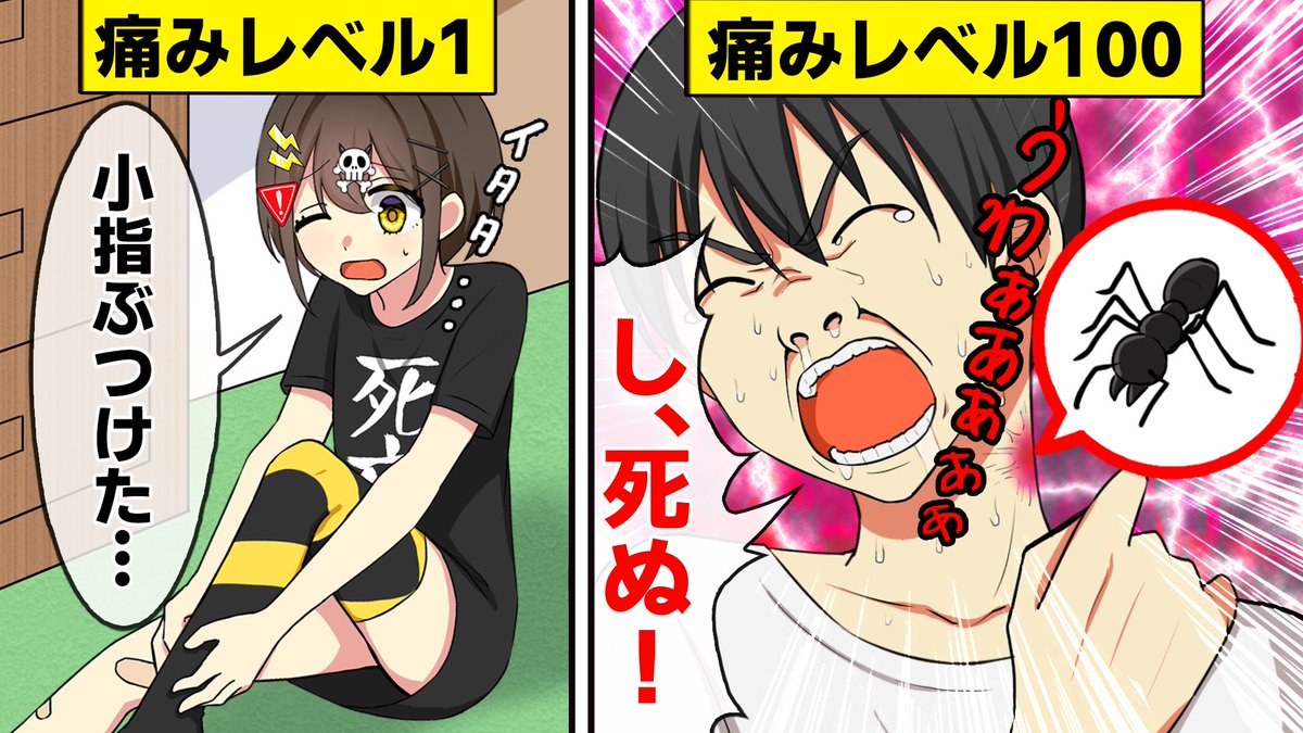 フラグちゃん Youtube登録者数50万人 On Twitter 立ちました 死亡フラグです 今日の動画は 痛み についてです 人が感じられる痛みの中で もっとも強いものとは 私個人的には タンスの角に小指をぶつけた時 が1位です 動画はこちら Https T