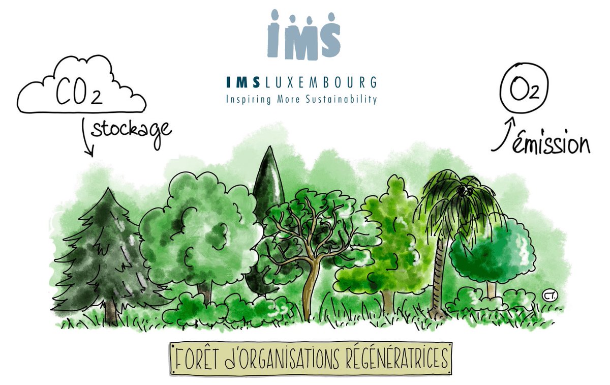 🌳 Thank you all for your positive and constructive mindset and the great ideas shared on the road to #carbonneutrality. 

#ecologicaltransition #positiveimpact #sustainablebusiness #ScienceBasedTargets