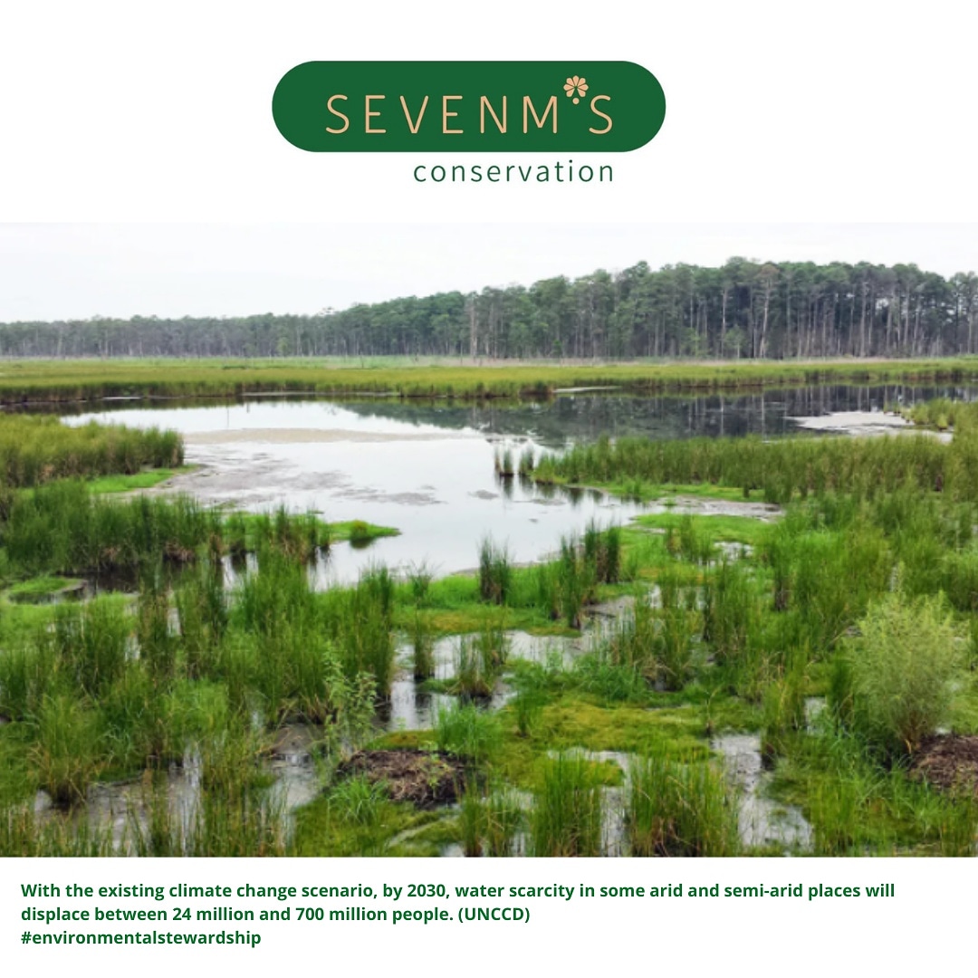 SevenmsC's tweet photo. Protecting our wetlands can go a long way in preserving our water resources for sustainable use, at the same time saving millions of people from  displacements due to water scarcity.Take action today, protect wetlands &amp; use  water resources sustainably.
#environmentalstewardship https://t.co/7jSSOUuMr0