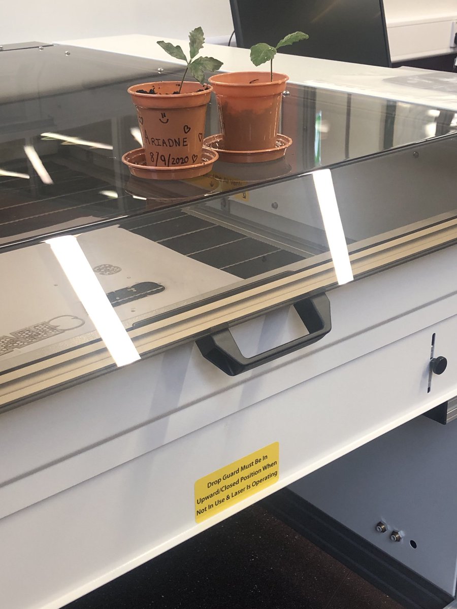 MaidaValeDT's tweet photo. Shoots and scores! Two of the acorns gathered on the first day MVS school opened to pupils, perched on our brand new laser cutter. Thanks to the MVS site team for lockdown care of the seedlings and organising laser cutter installation! #mvsdt #mvsteam #cadcamtechnology #ams tech https://t.co/UzrufQkbcy