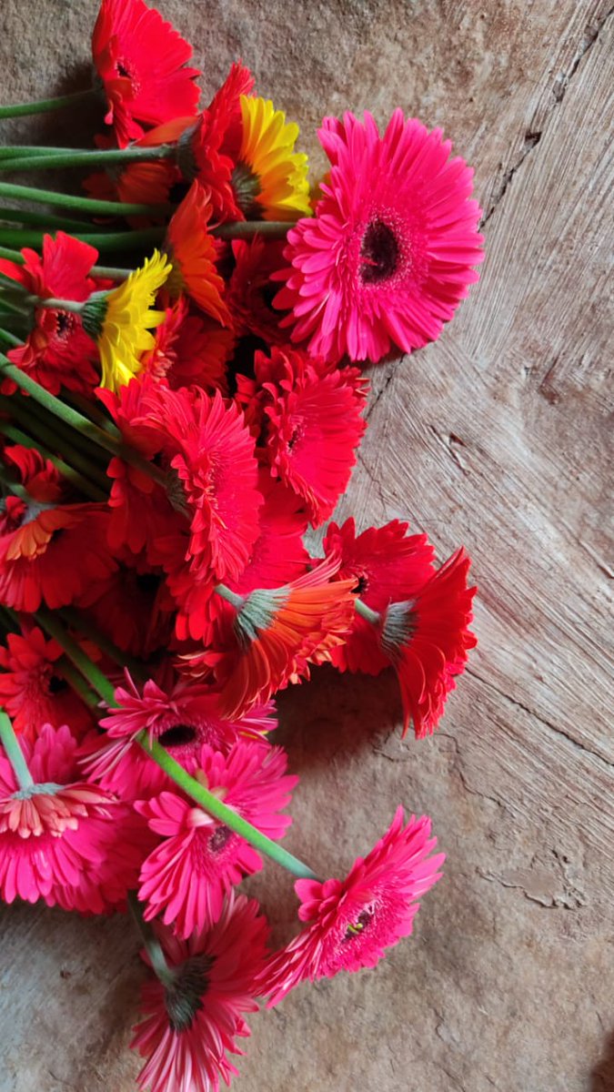pradiphirade's tweet photo. For the first time 650 Kg of Gerbera flowers loaded in Kisan rail to Delhi from Kurduwadi station.
#kisanrail https://t.co/ABv2GD2oz4