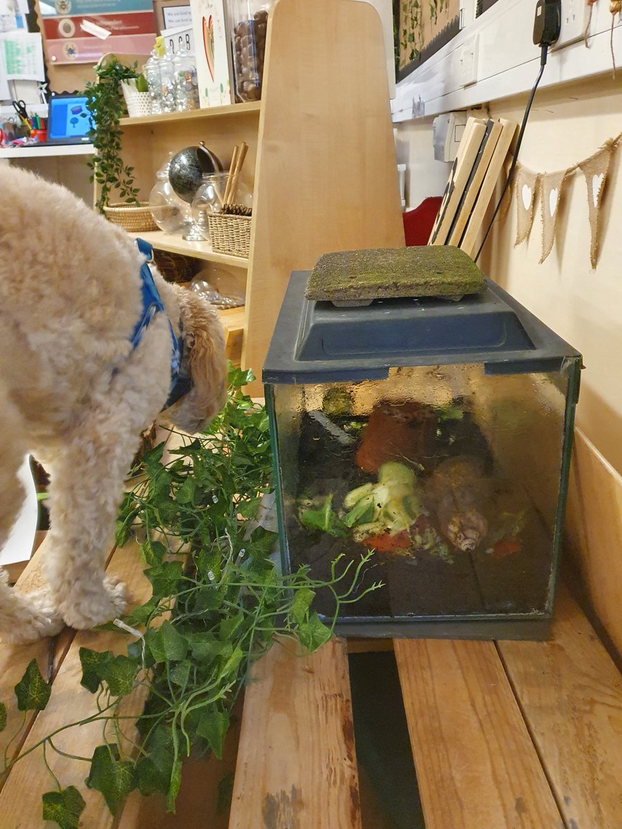 Mrs Garbett tweet media