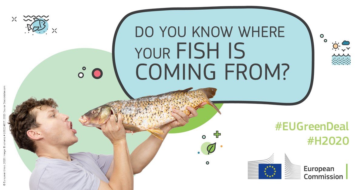 The demand for healthy, protein‑rich food is rising  with the world’s population 🌍

<a href="/ClimeFish/">ClimeFish</a> helps fish producers &amp; aquaculture farmers to predict, prepare &amp; adapt to climate change while protecting biodiversity &amp; aquatic ecosystems🐟

➡️ europa.eu/!Km84uW

#EUGreenDeal