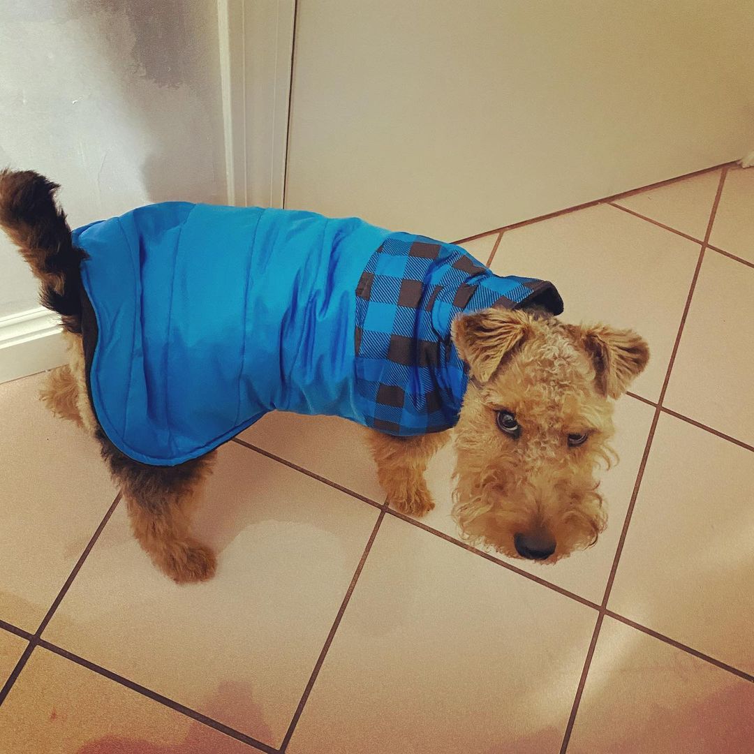 Derrick Riley (@Derrick82655631) | Twitter